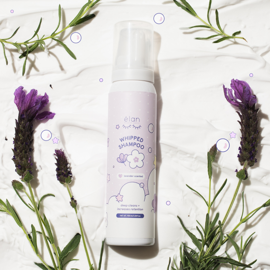 whipped lash shampoo