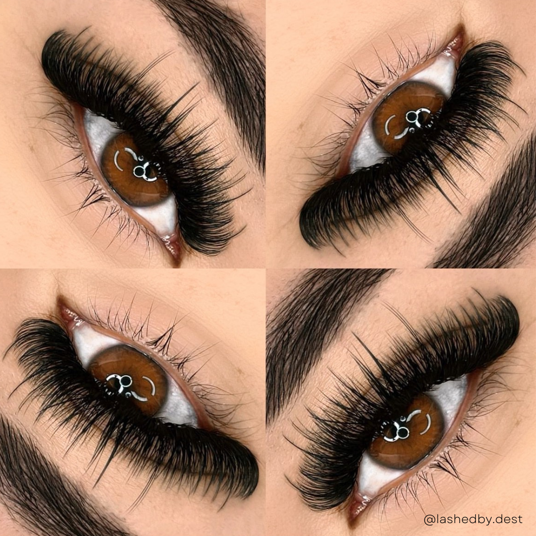 0.05 CASHMERE MINK lash trays 💫