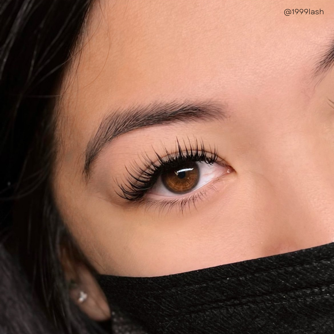 0.05 VELVET MINK lash trays ☁️