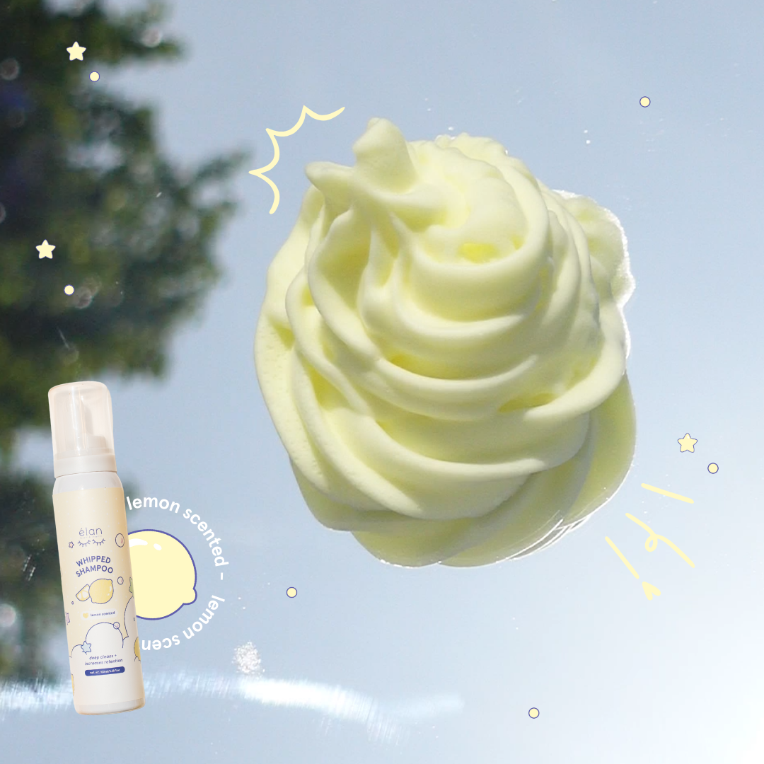 whipped lash shampoo