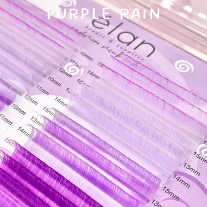 HEAD IN THE CLOUDS cashmere color lash tray