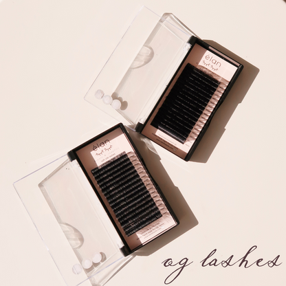 0.15 SOFT SILK lash trays 🌟