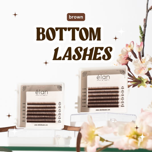 BROWN BOTTOM LASHES mini tray