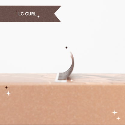 DARK BROWNS specialty curls