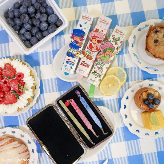 STRAWBERRY SHORTCAKE magnetic case & tweezers bundle
