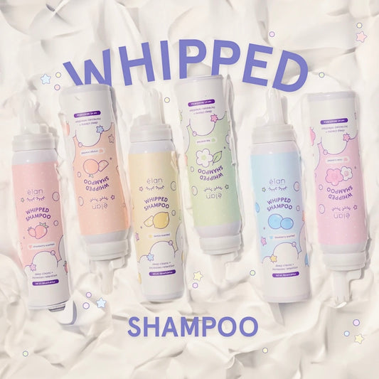 whipped lash shampoo