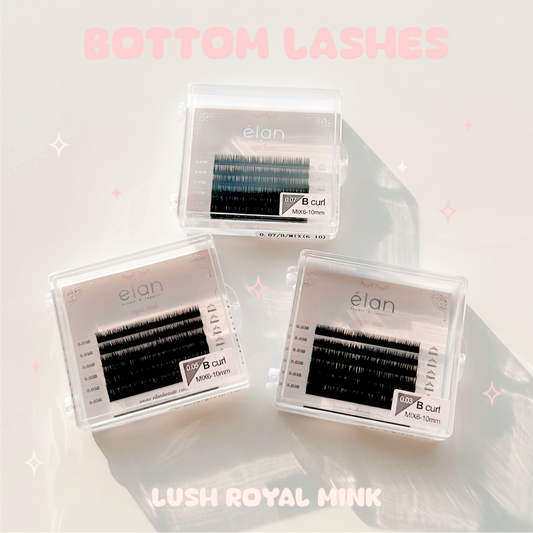 BOTTOM LASHES mini tray