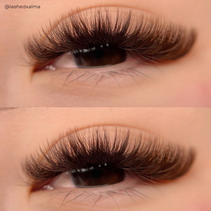 DARK BROWN color lashes