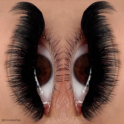 0.07 CASHMERE MINK lash trays 💫