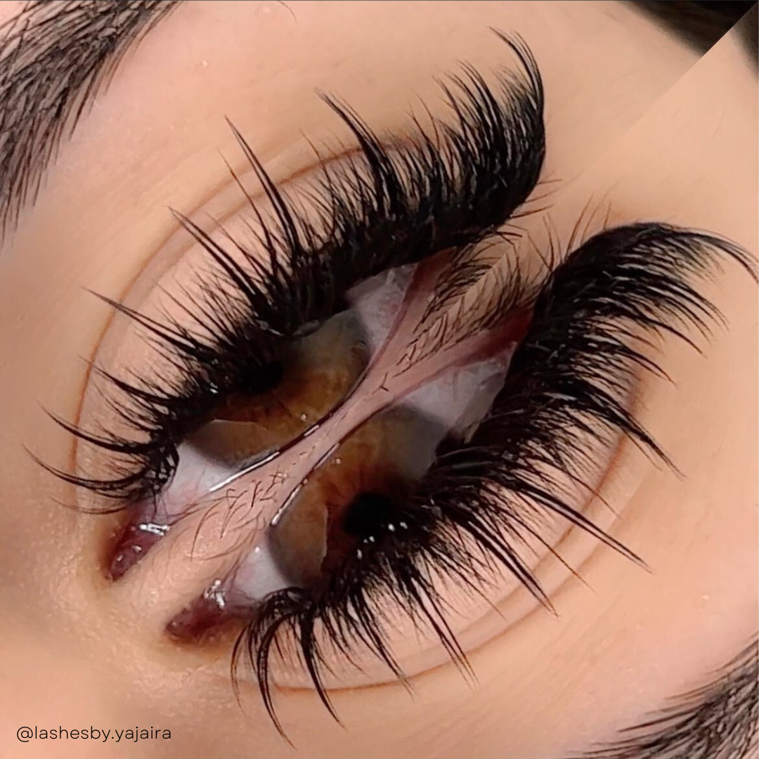 0.05 CASHMERE MINK lash trays 💫