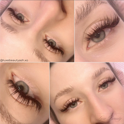 MINI BROWN color lashes