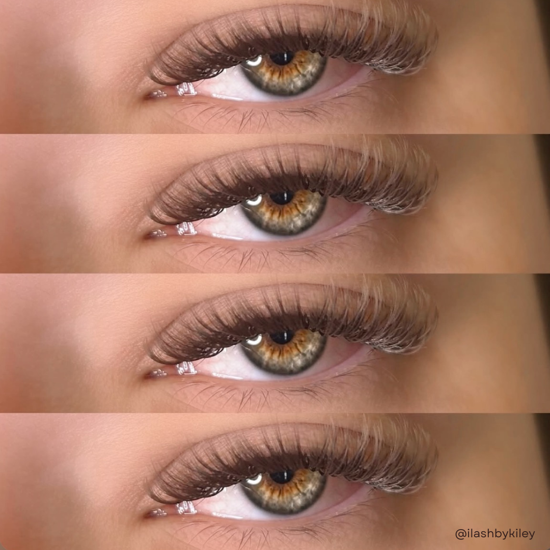 DARK BROWN color lashes