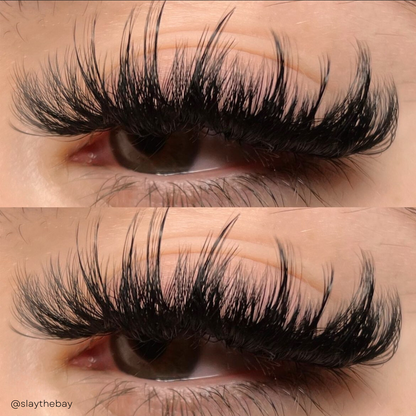 0.03 VELVET MINK lash trays ☁️